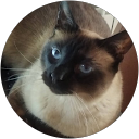 Marhinde profile picture